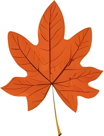 rendy Foliage Design, Leaf PNG Download, Tropical different type exotic leaves set_22.webp